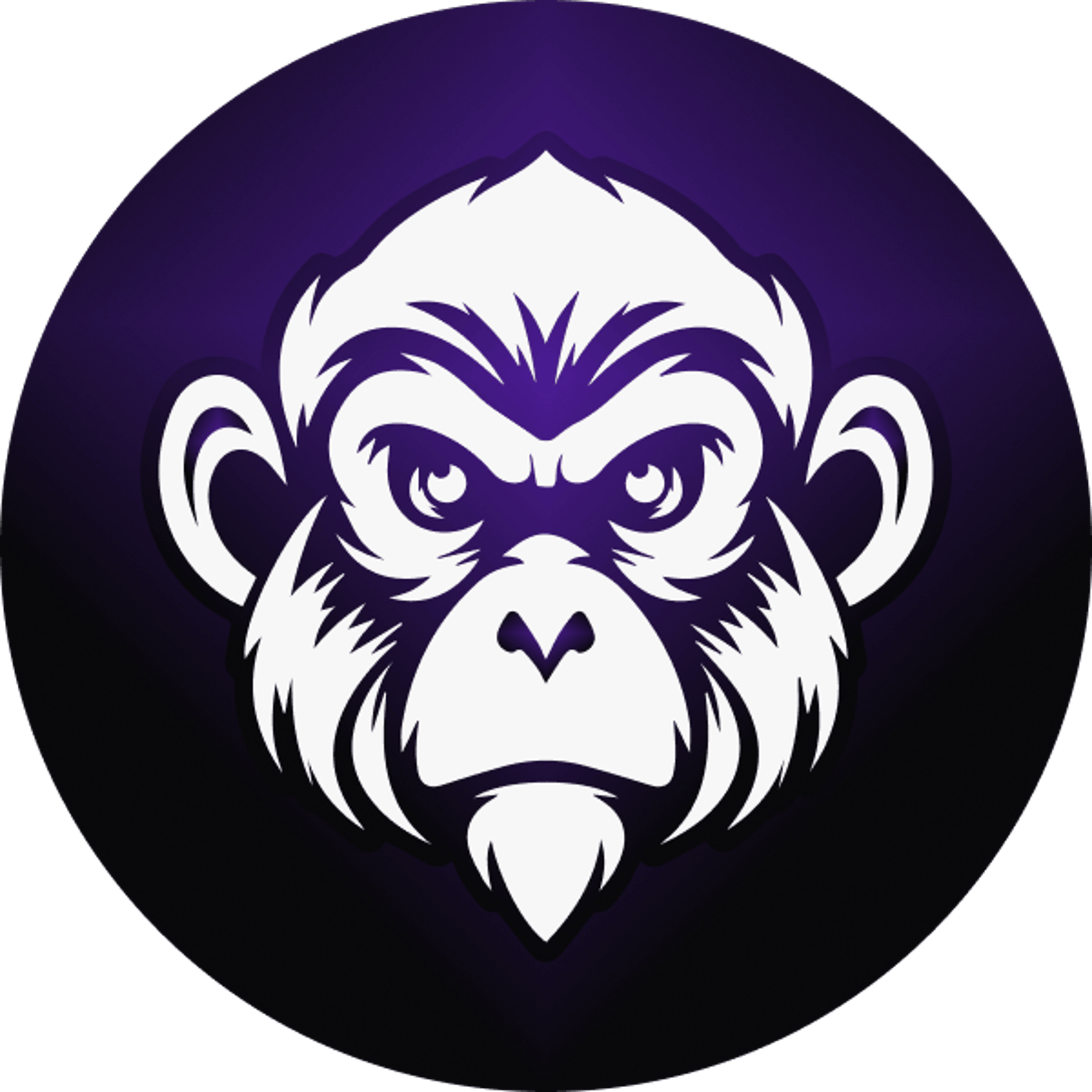 Product Manager and Lead Developer